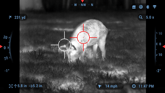 High-tech Thermal Vision for Everyone?